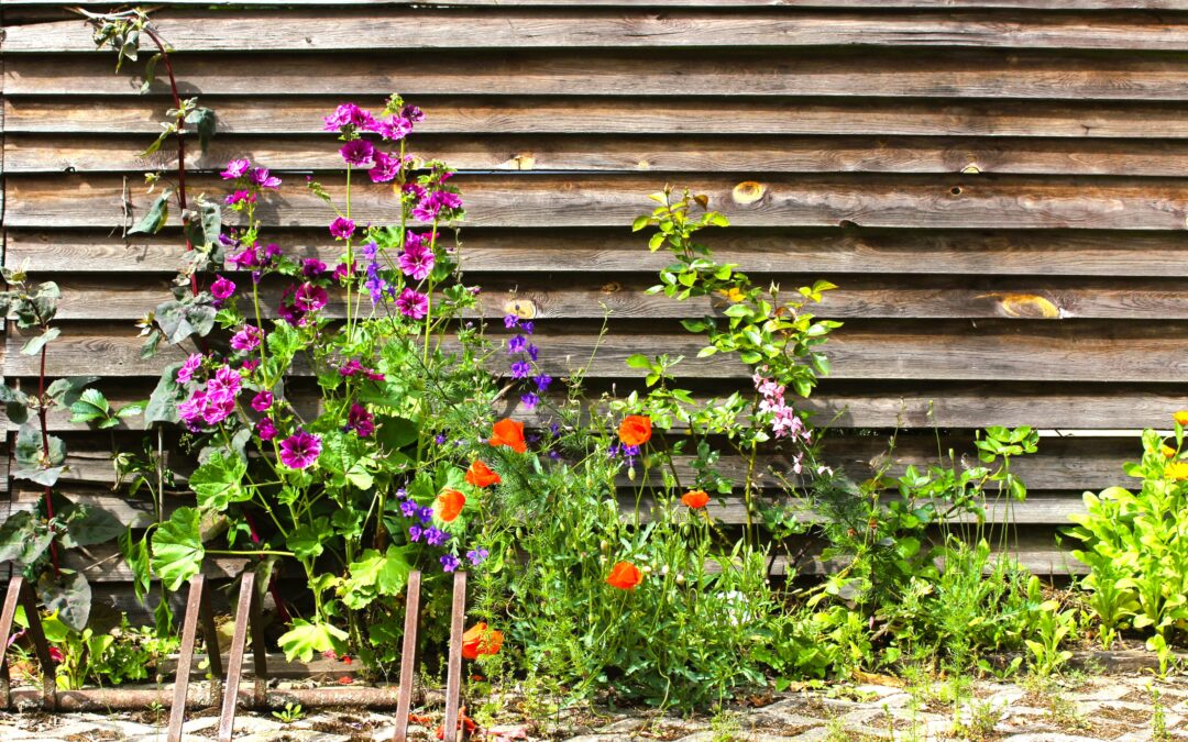 Sommer-Blumen
